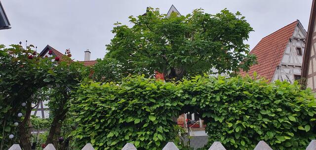 Foto: privat Sibylle Tröber und Esther Eder