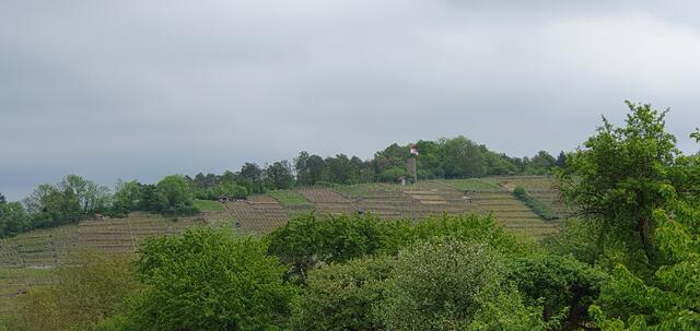 Foto: privat Sibylle Tröber und Esther Eder