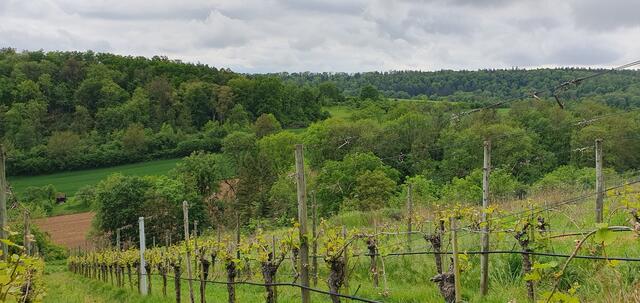 Foto: privat Sibylle Tröber und Esther Eder
