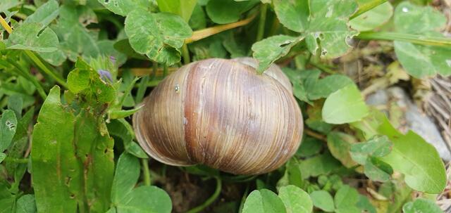 Foto: privat Sibylle Tröber und Esther Eder