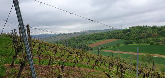Foto: privat Sibylle Tröber und Esther Eder