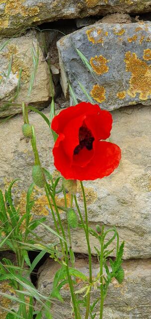 Foto: privat Sibylle Tröber und Esther Eder