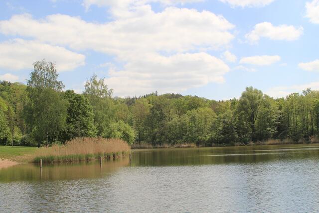 Degenbachsee | Foto: Ralf Röser