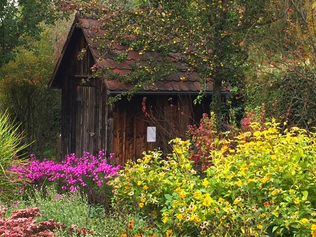 Botanischer Obstgarten Heilbronn | Foto: Heide Böllinger aus Bad Friedrichshall