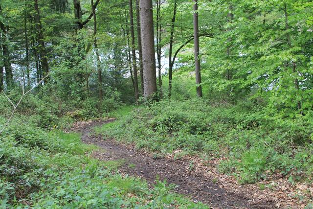 da runter | Foto: Ralf Röser