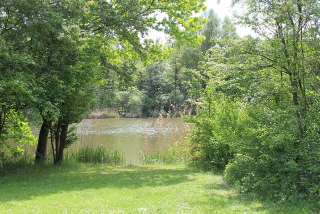 schöner Blick auf den See | Foto: Ralf Röser