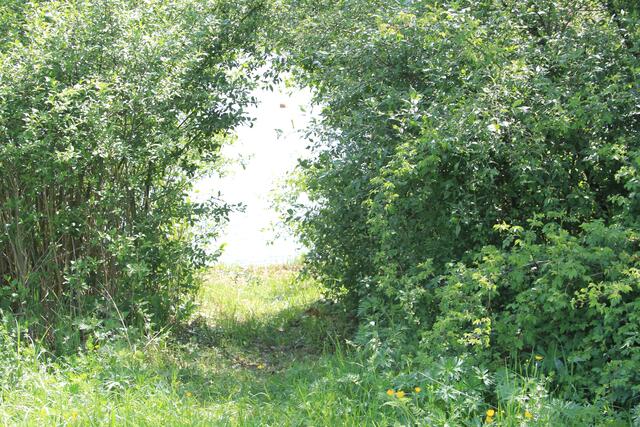 cool | Foto: Ralf Röser