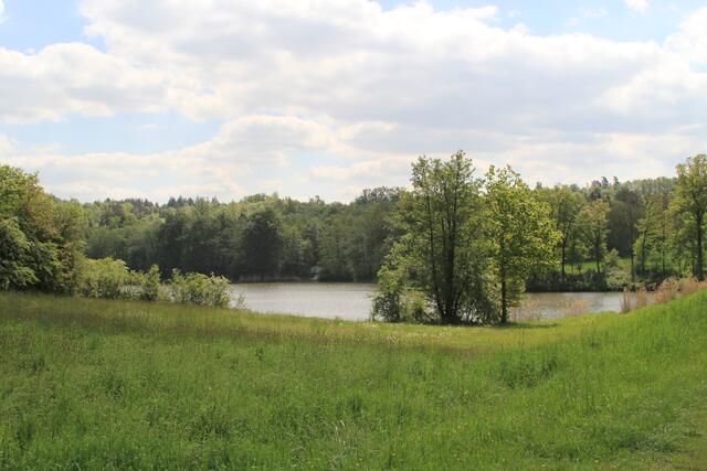 Degenbachsee | Foto: Ralf Röser