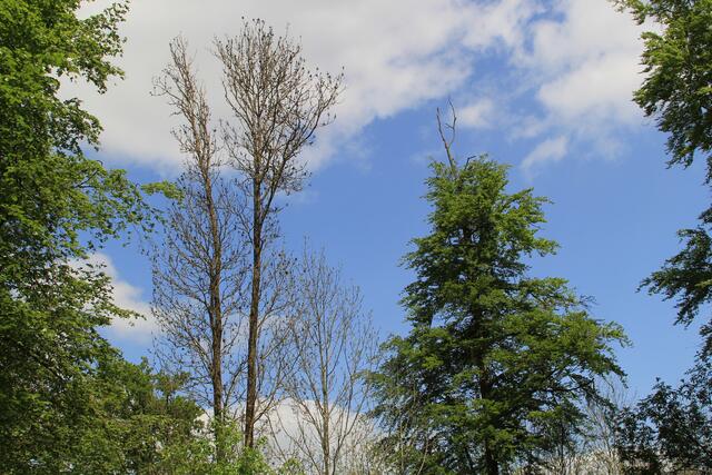 oben | Foto: Ralf Röser