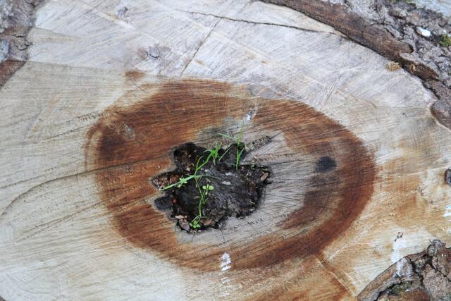 cool | Foto: Ralf Röser