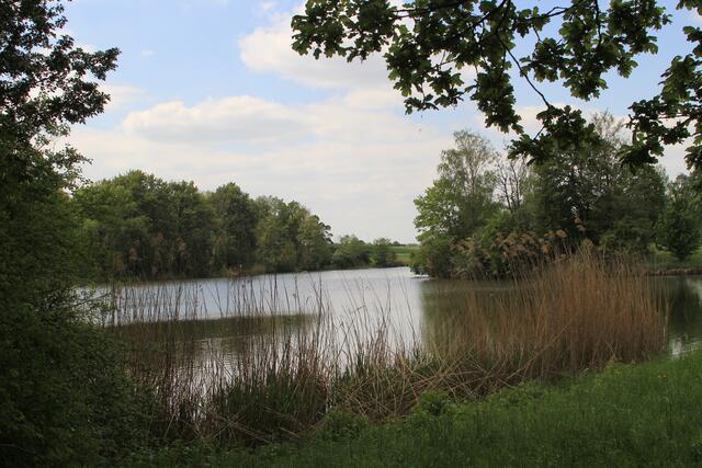 hinterer See | Foto: Ralf Röser