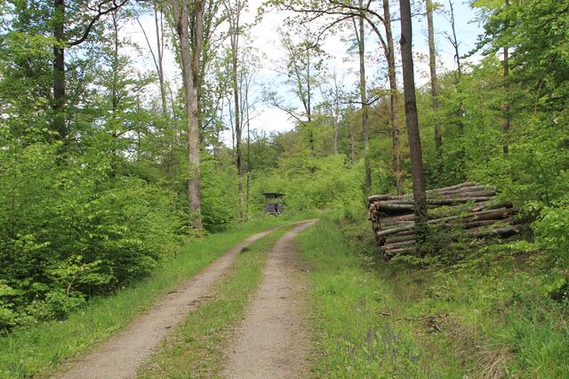 und weiter | Foto: Ralf Röser