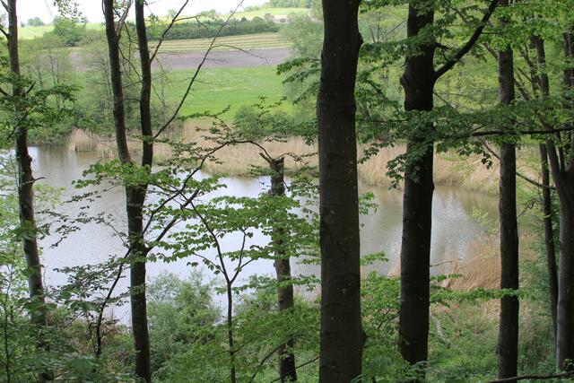 toller Blick | Foto: Ralf Röser