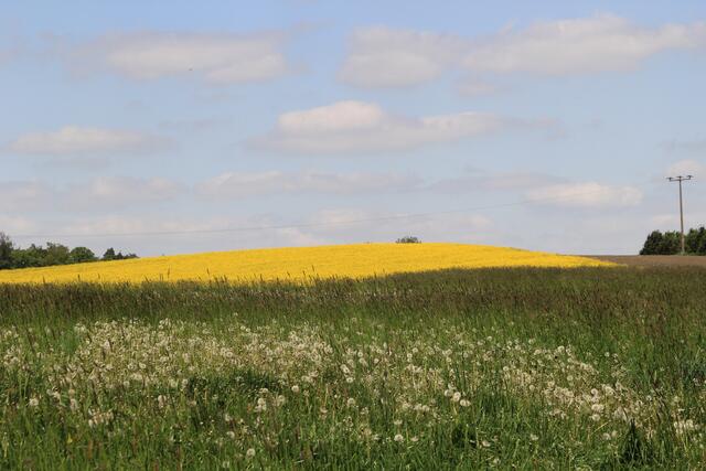 tolle Weite | Foto: Ralf Röser