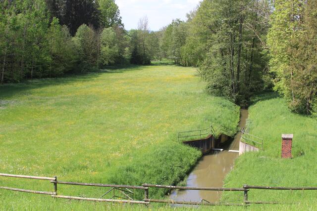 gegenüber vom See | Foto: Ralf Röser