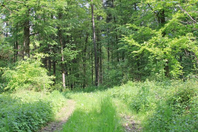 und weiter | Foto: Ralf Röser