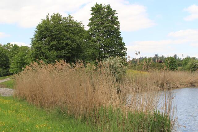 toll | Foto: Ralf Röser