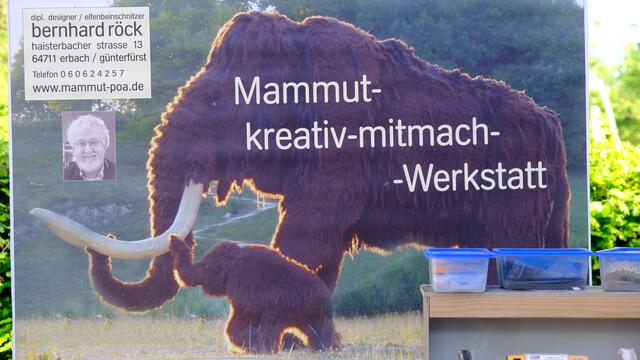 Foto: Eduard Warenik