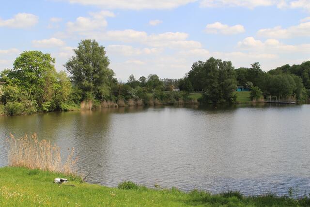 Degenbachsee | Foto: Ralf Röser