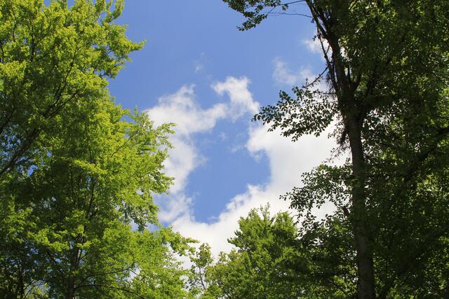 oben | Foto: Ralf Röser