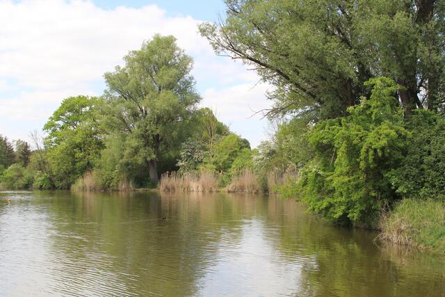 Degenbachsee | Foto: Ralf Röser