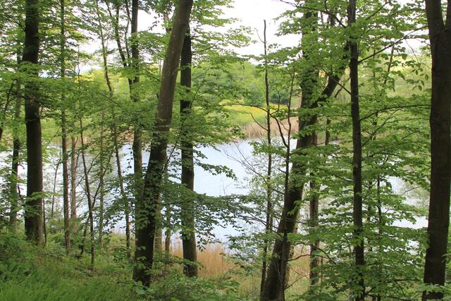 toller Blick | Foto: Ralf Röser