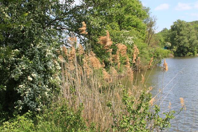 wow | Foto: Ralf Röser