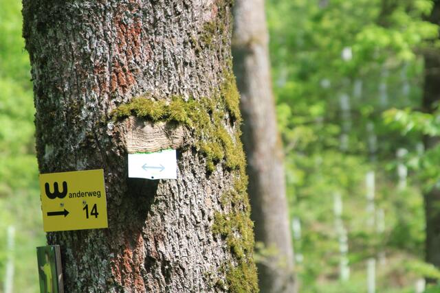 Info | Foto: Ralf Röser