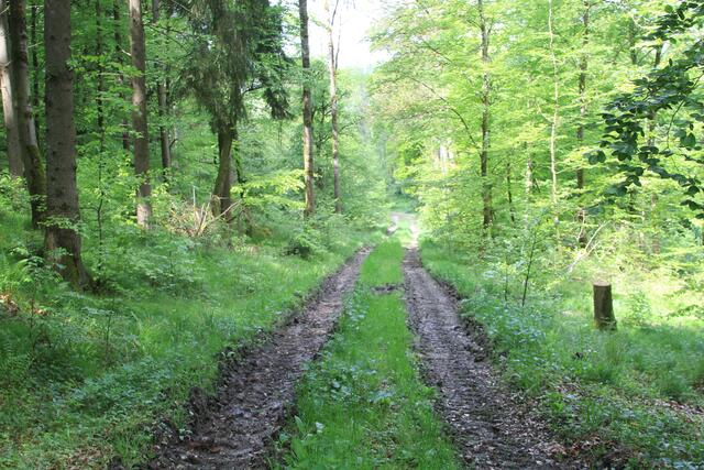 da runter und dann links | Foto: Ralf Röser