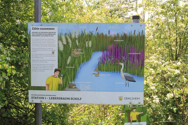 Info | Foto: Ralf Röser