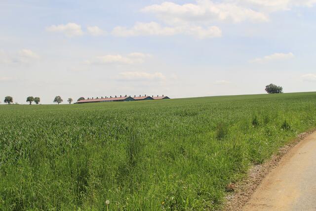 schee | Foto: Ralf Röser