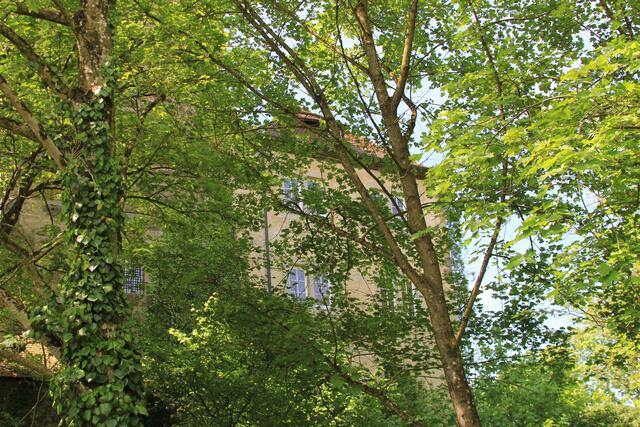 Burg Hornberg | Foto: Ralf Röser