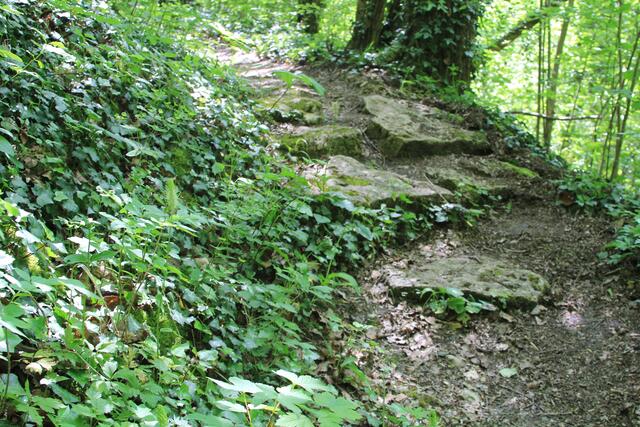 über Stock und Stein, hihi | Foto: Ralf Röser