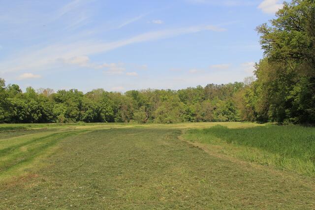 wieder am Steg | Foto: Ralf Röser