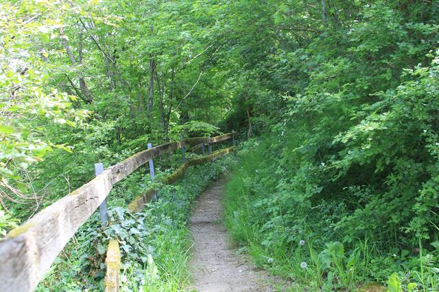 da rauf | Foto: Ralf Röser