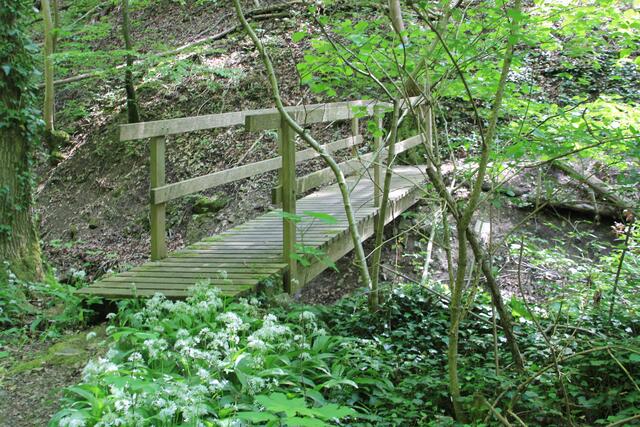 da rüber | Foto: Ralf Röser