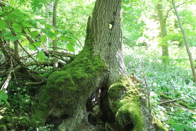 cool | Foto: Ralf Röser