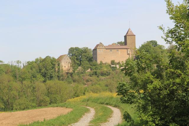 Burg Hornberg | Foto: Ralf Röser