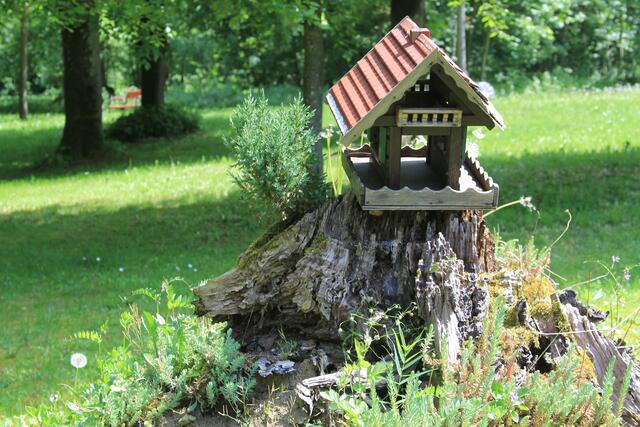 schee
 | Foto: Ralf Röser