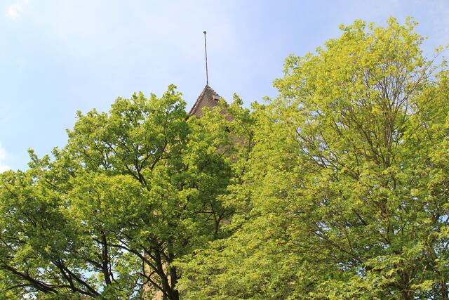 Burg Hornberg | Foto: Ralf Röser