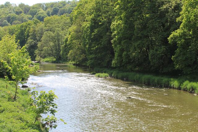 wieder am Steg | Foto: Ralf Röser
