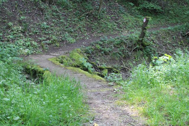 Blick zurück | Foto: Ralf Röser