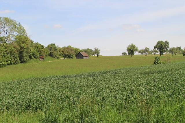 tolle Aussicht | Foto: Ralf Röser