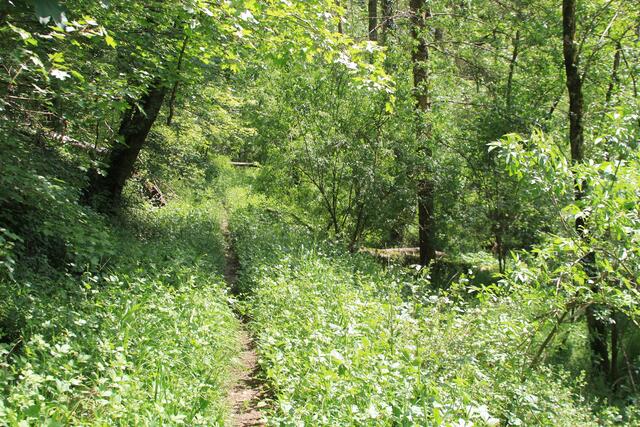 da lang | Foto: Ralf Röser