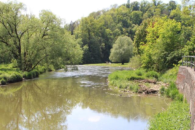 Jagst | Foto: Ralf Röser