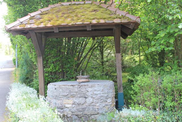 toll | Foto: Ralf Röser