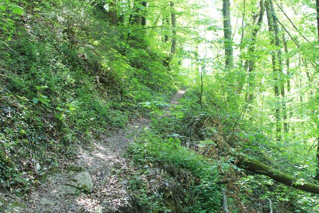 und weiter | Foto: Ralf Röser