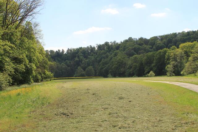 wieder am Steg | Foto: Ralf Röser