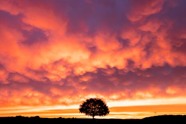 Dramatischer Sonnenaufgang mit Gewitterwolken | Foto: Stefan Seiz