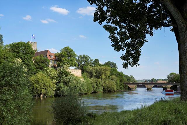 Rathausburg mit alter Neckarbrücke | Foto: Ulrich Seidel